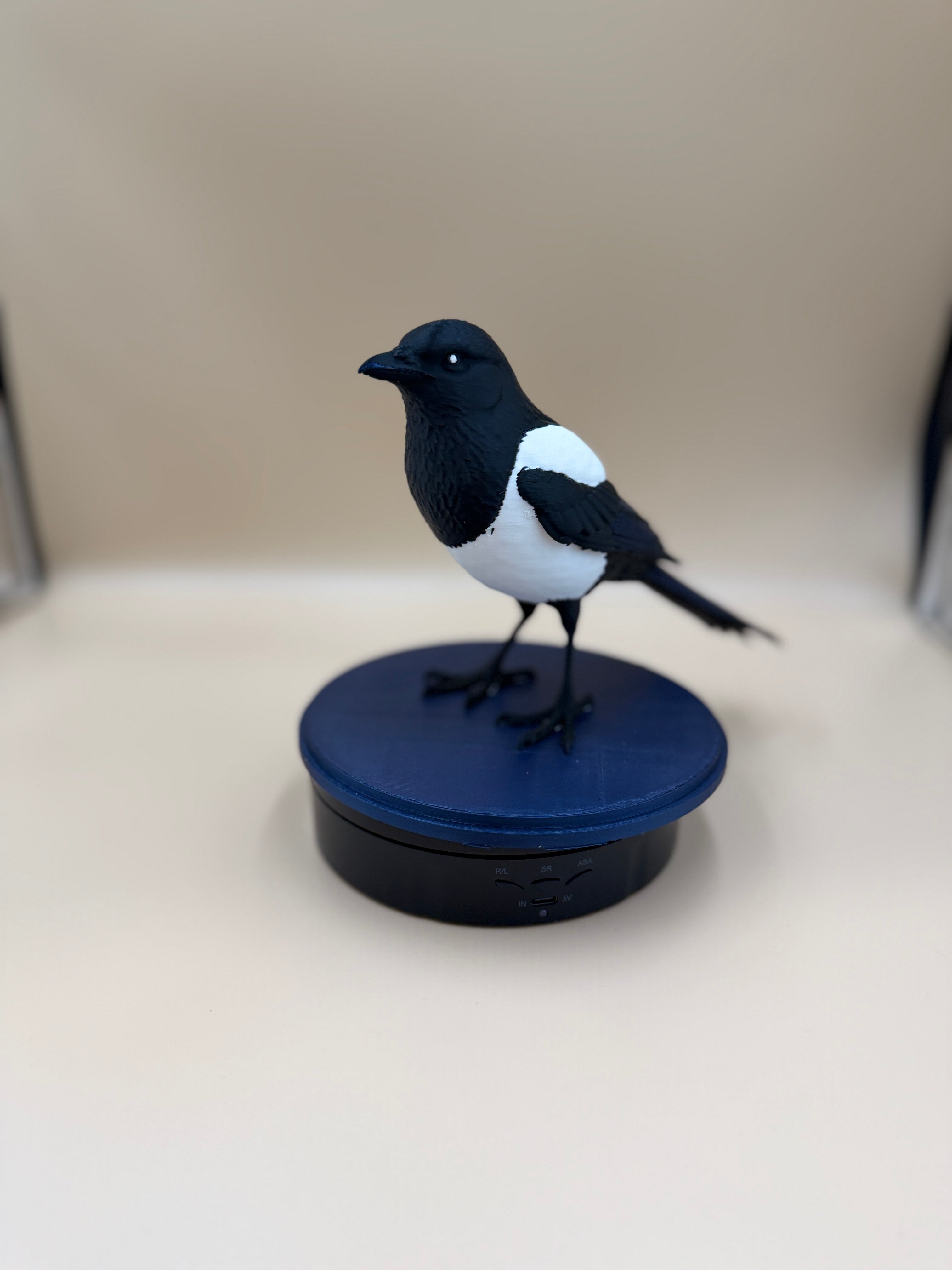 Midnight Mischief Magpie - Commercial License