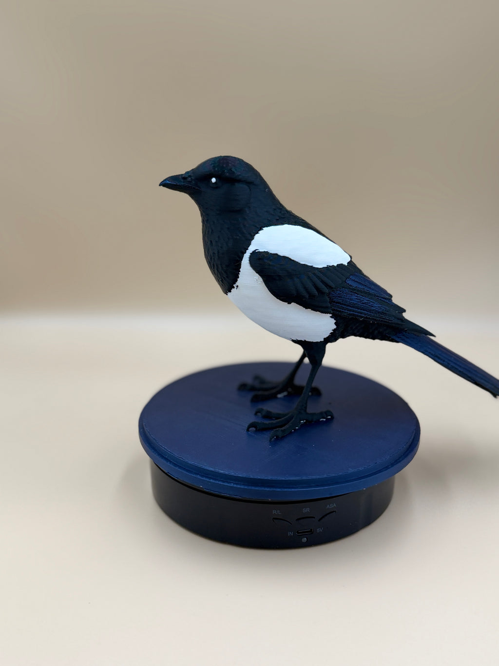 Midnight Mischief Magpie - Commercial License