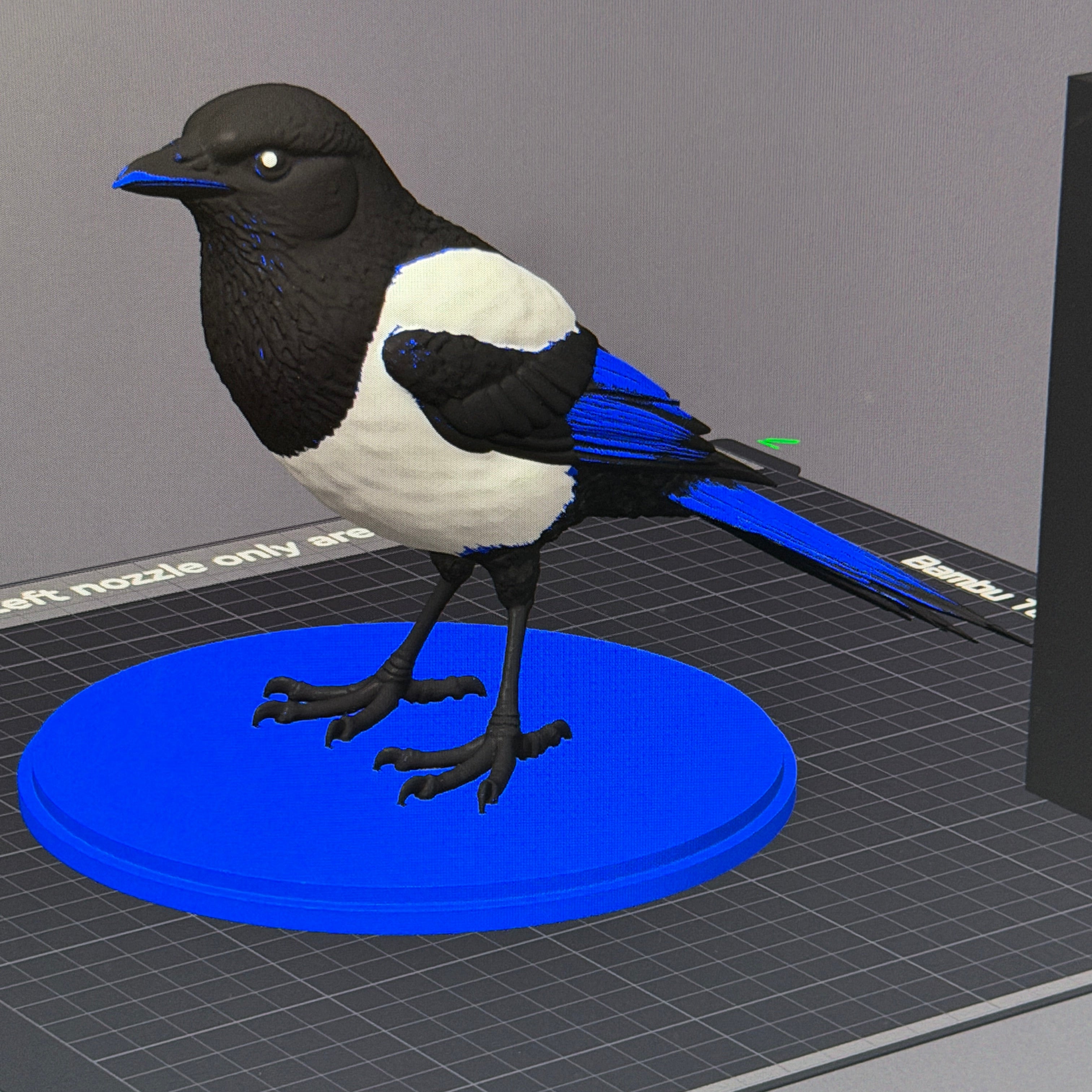 Midnight Mischief Magpie - Commercial License