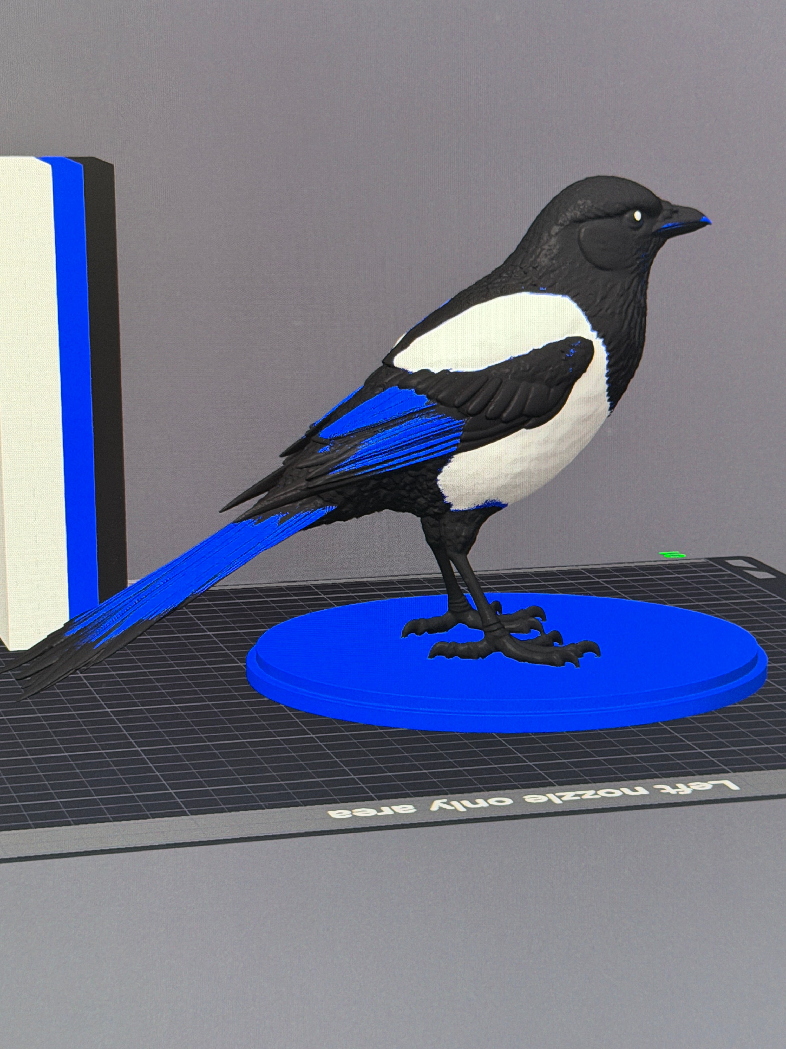 Midnight Mischief Magpie - Commercial License