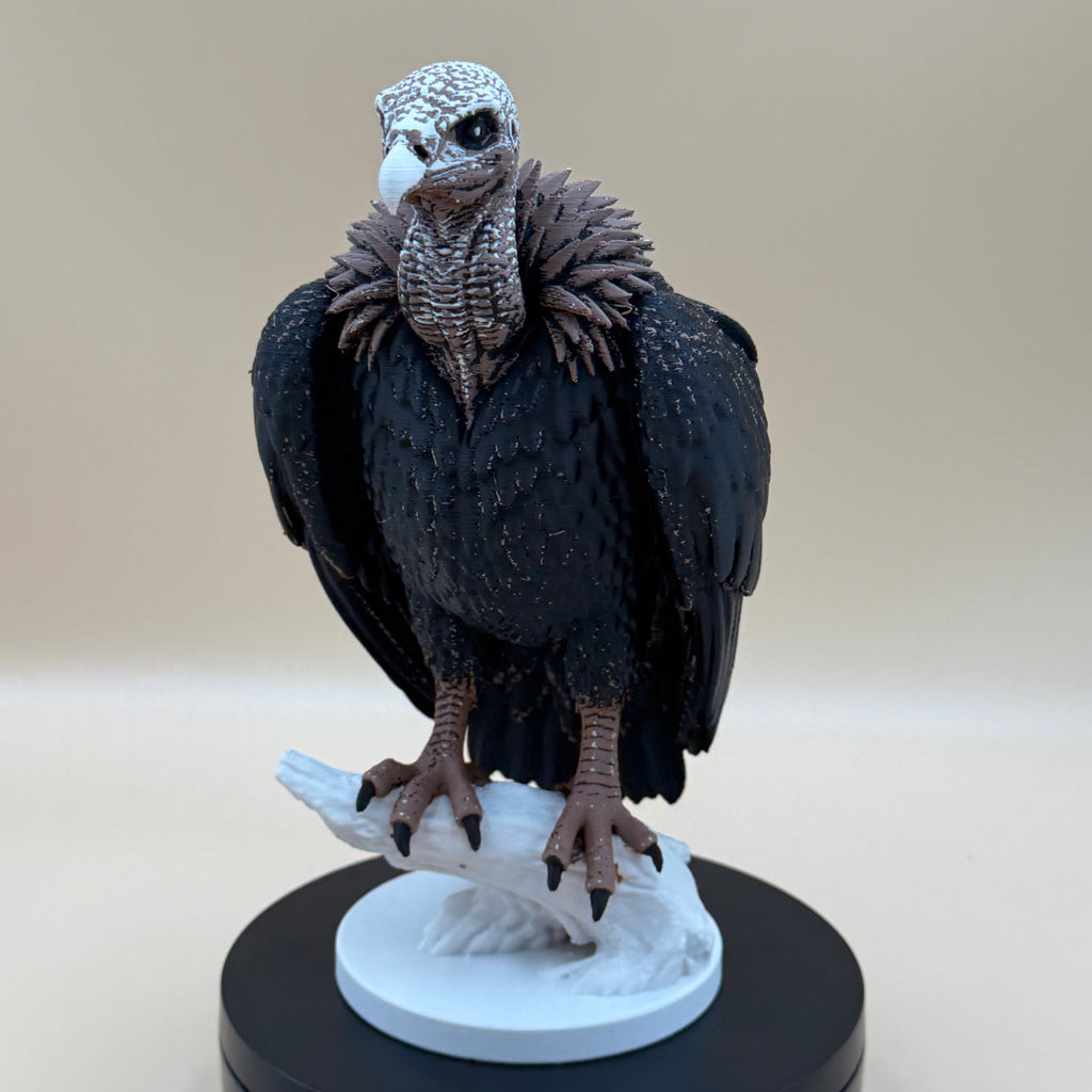Dusk Watch Vulture