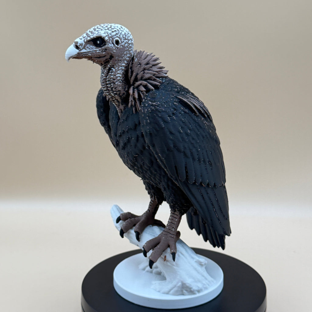 Dusk Watch Vulture