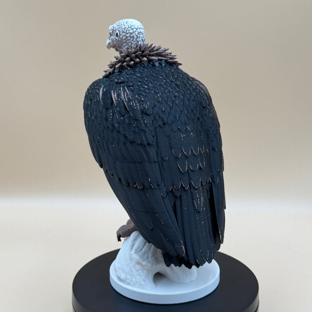Dusk Watch Vulture