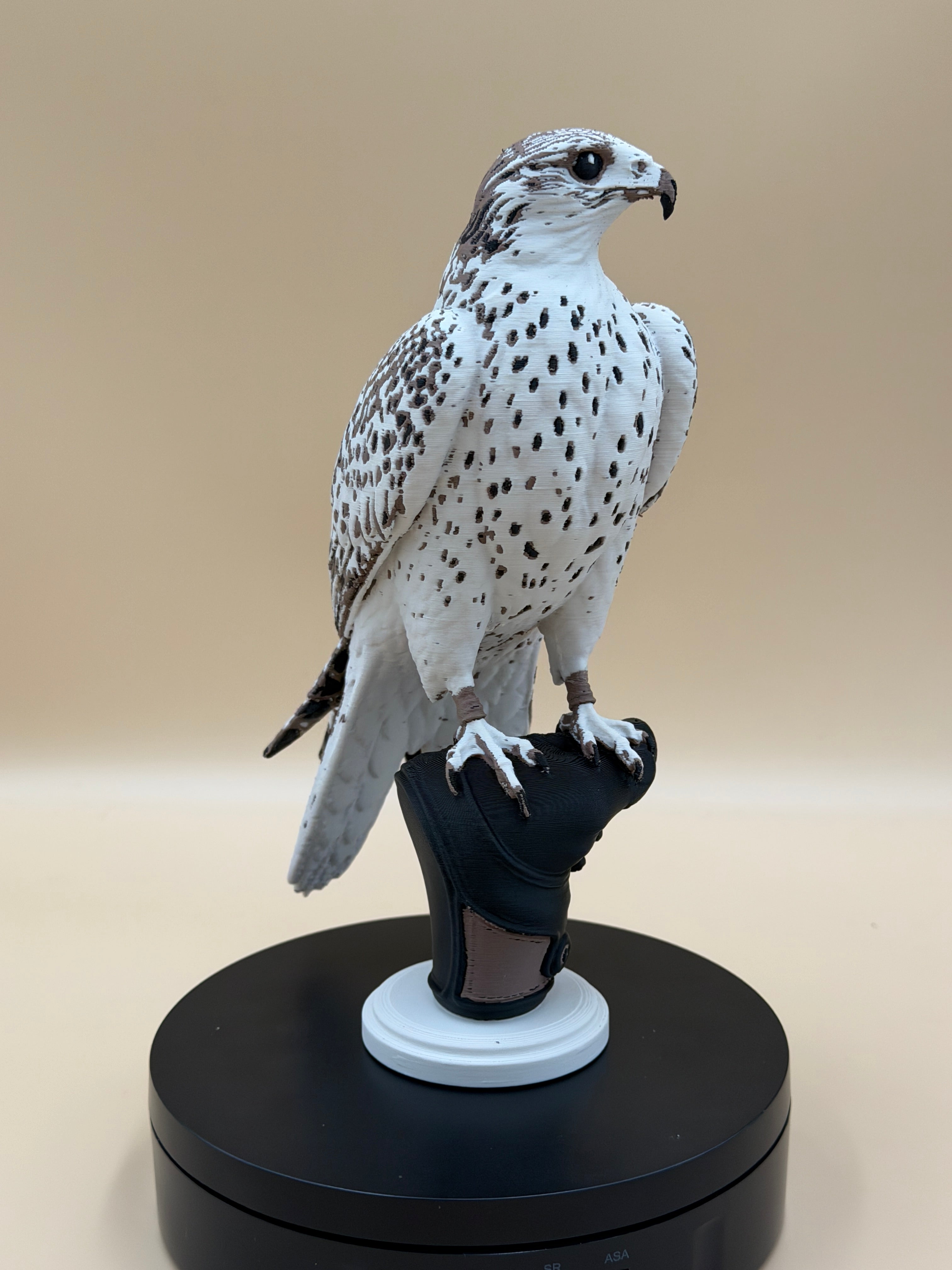 Ironcrest Falcon On a Glove - PLA version - Indoor Only