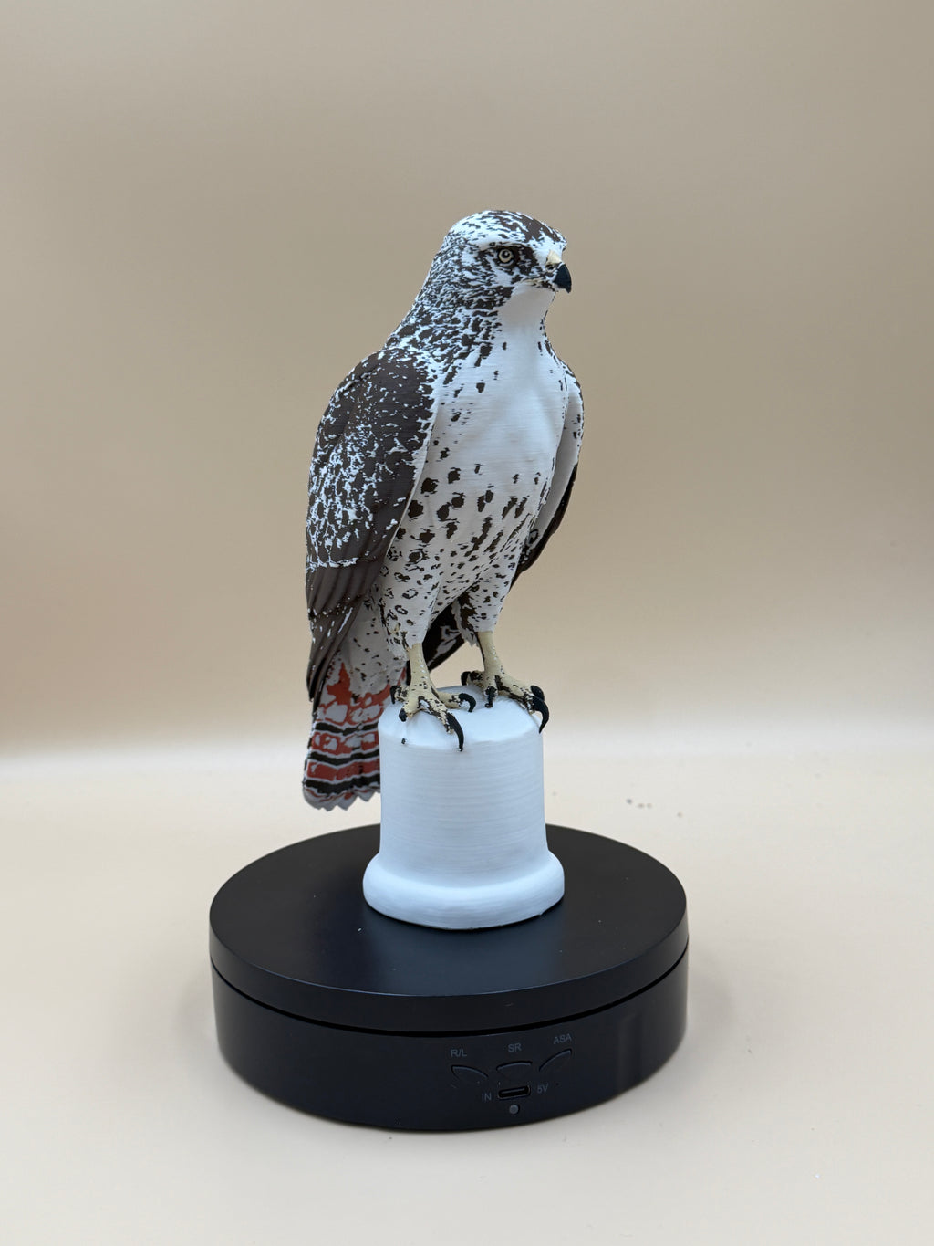 Red-Tailed Hawk - Commercial License