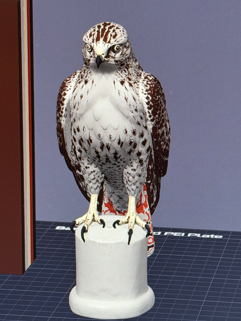 Red-Tailed Hawk - Commercial License