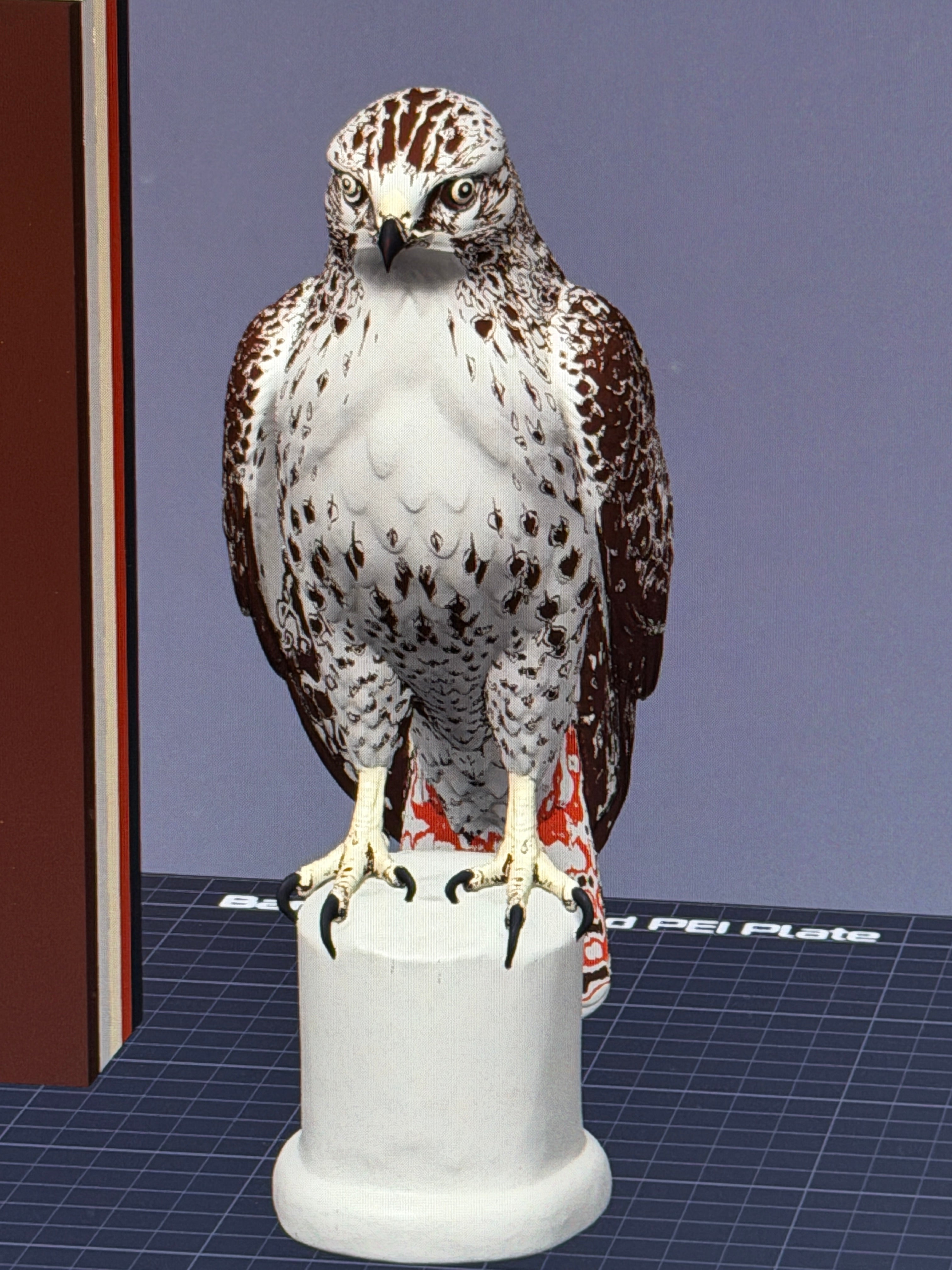 Red-Tailed Hawk - Commercial License