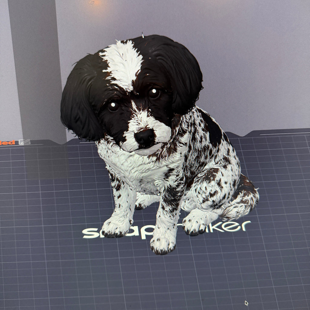 Bella Pup - Commercial License