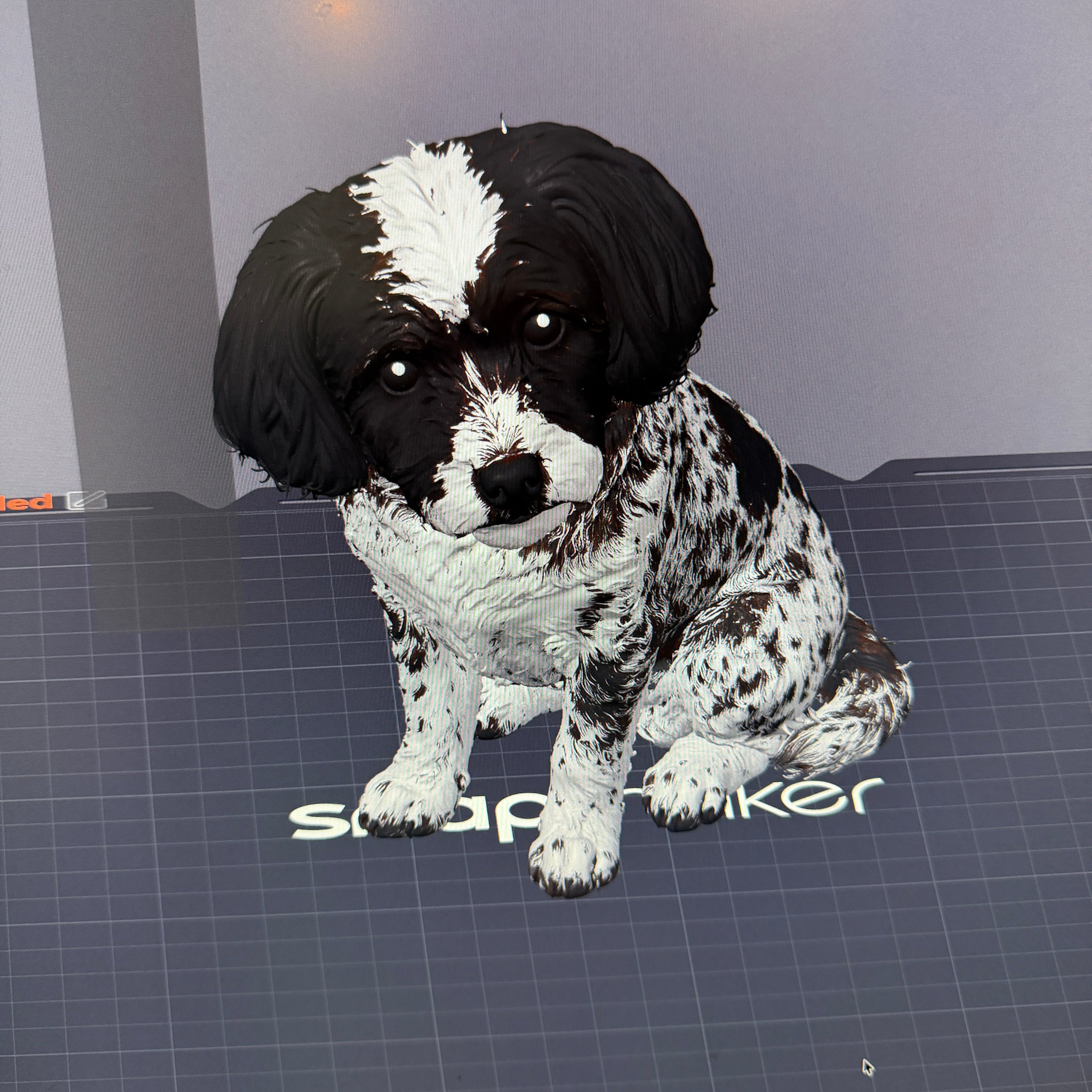 Bella Pup - Commercial License