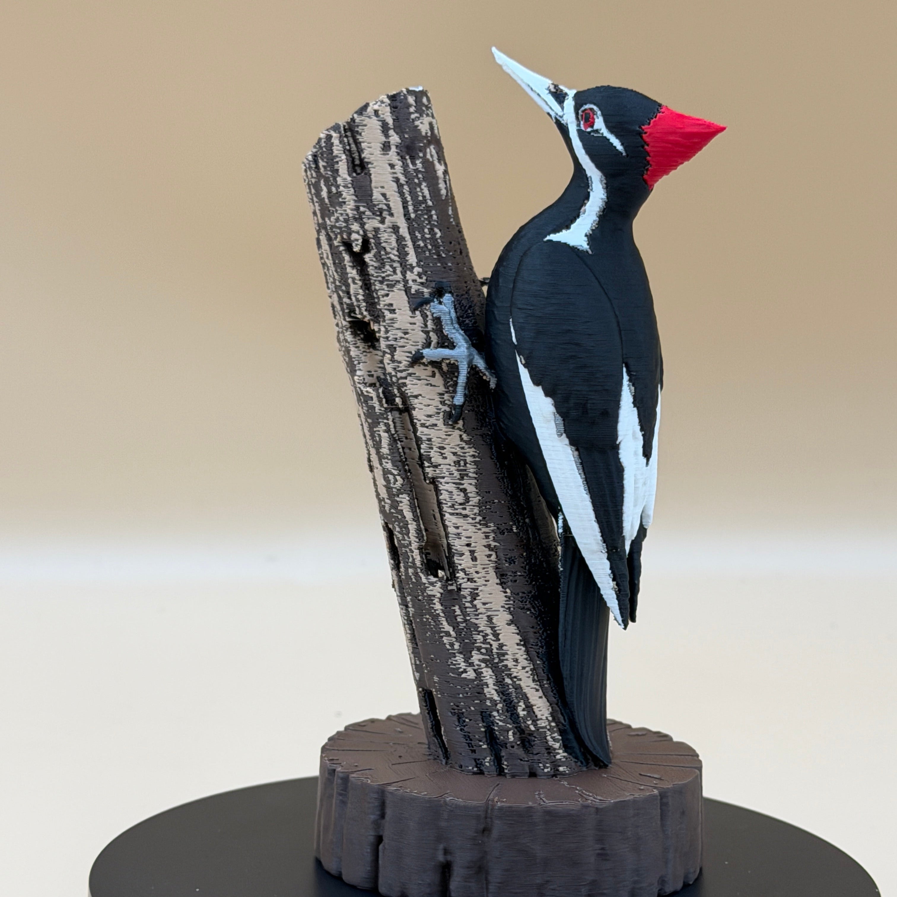 Pileated Sentinel Woodpecker - Commercial License