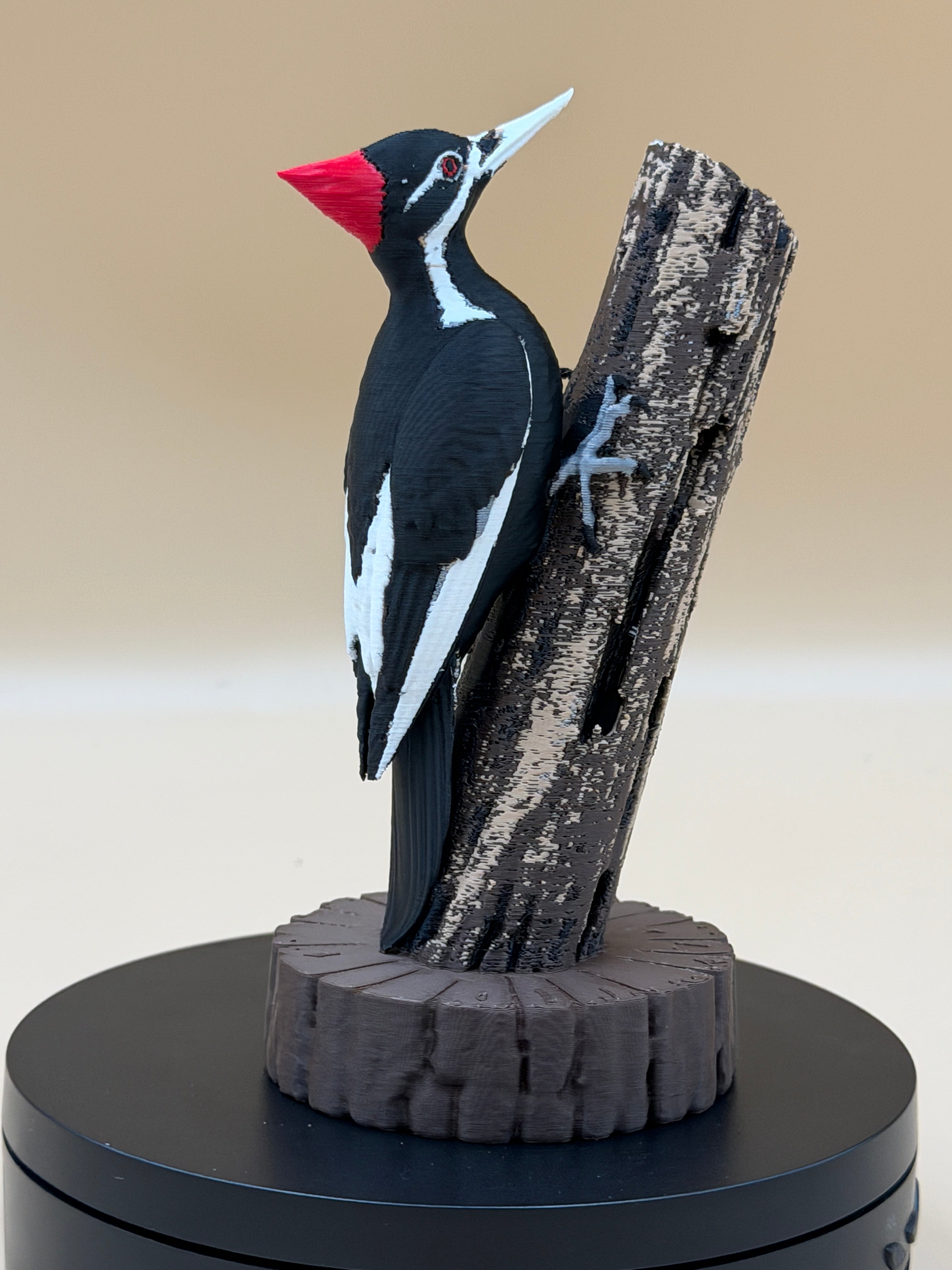 Pileated Sentinel Woodpecker - Commercial License