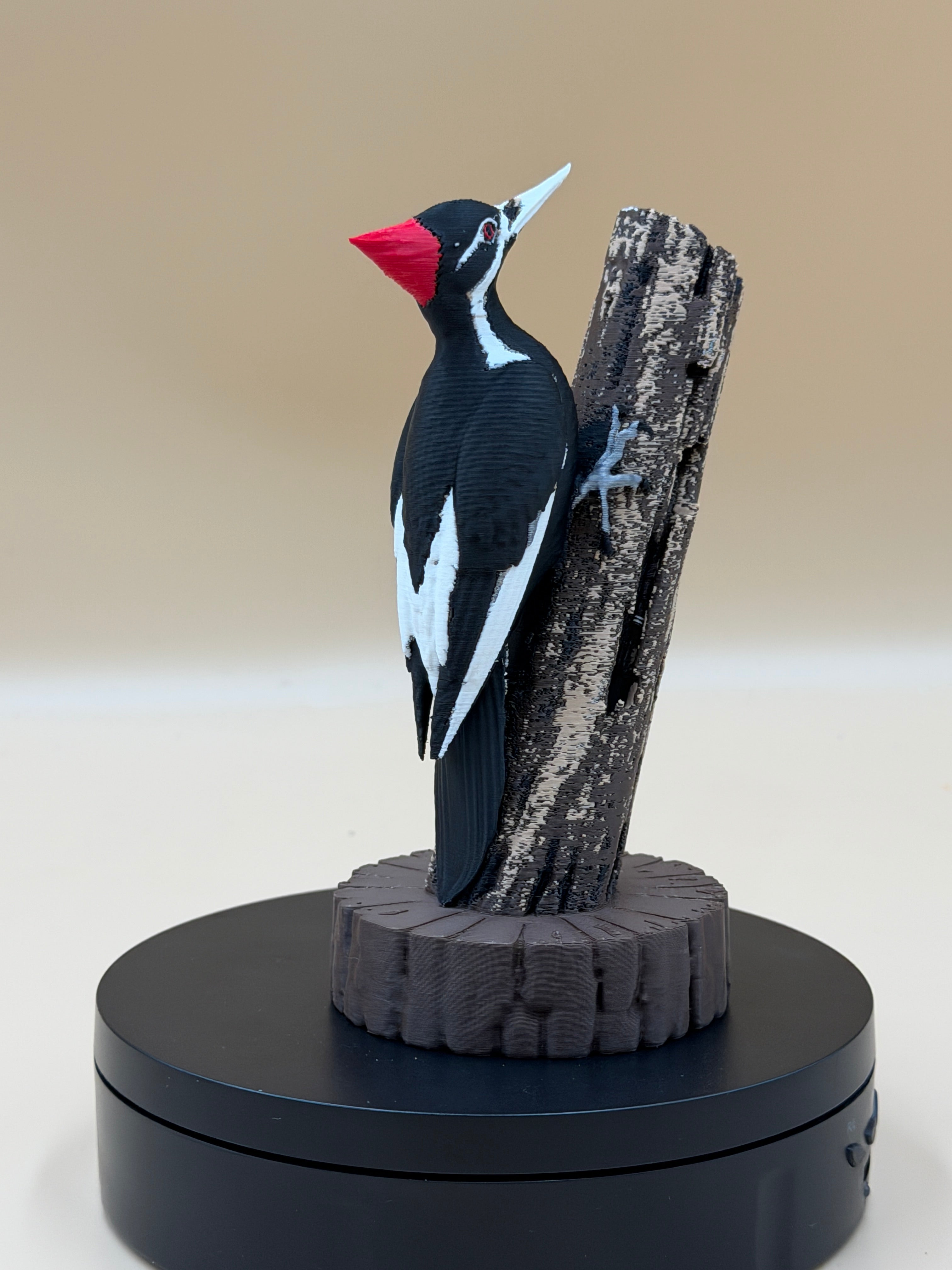 Pileated Sentinel Woodpecker - Commercial License