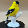 Sunshine Goldfinch