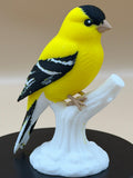 Sunshine Goldfinch - Commercial License