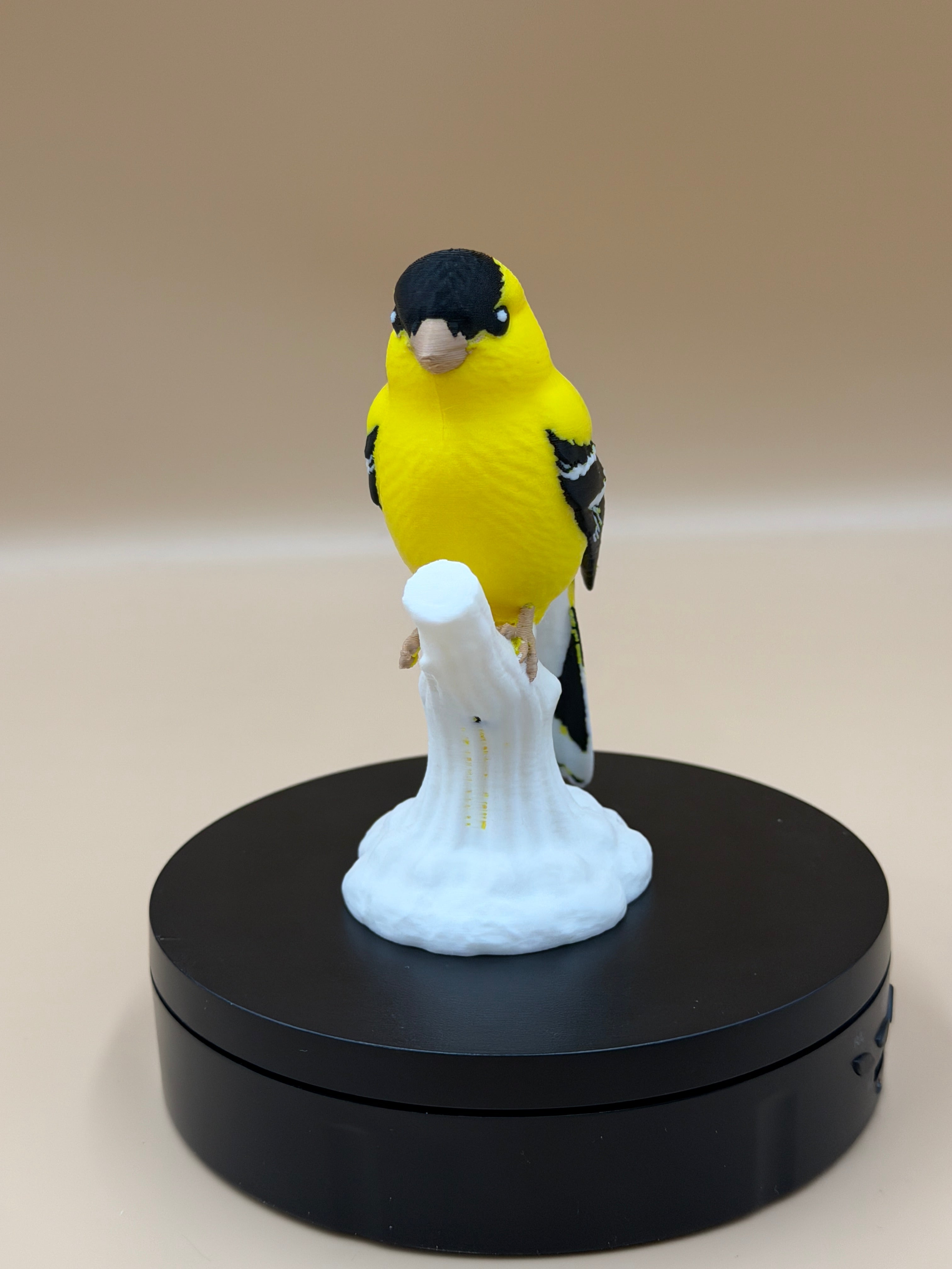 Sunshine Goldfinch - Commercial License