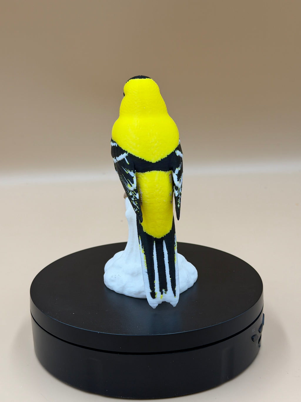 Sunshine Goldfinch