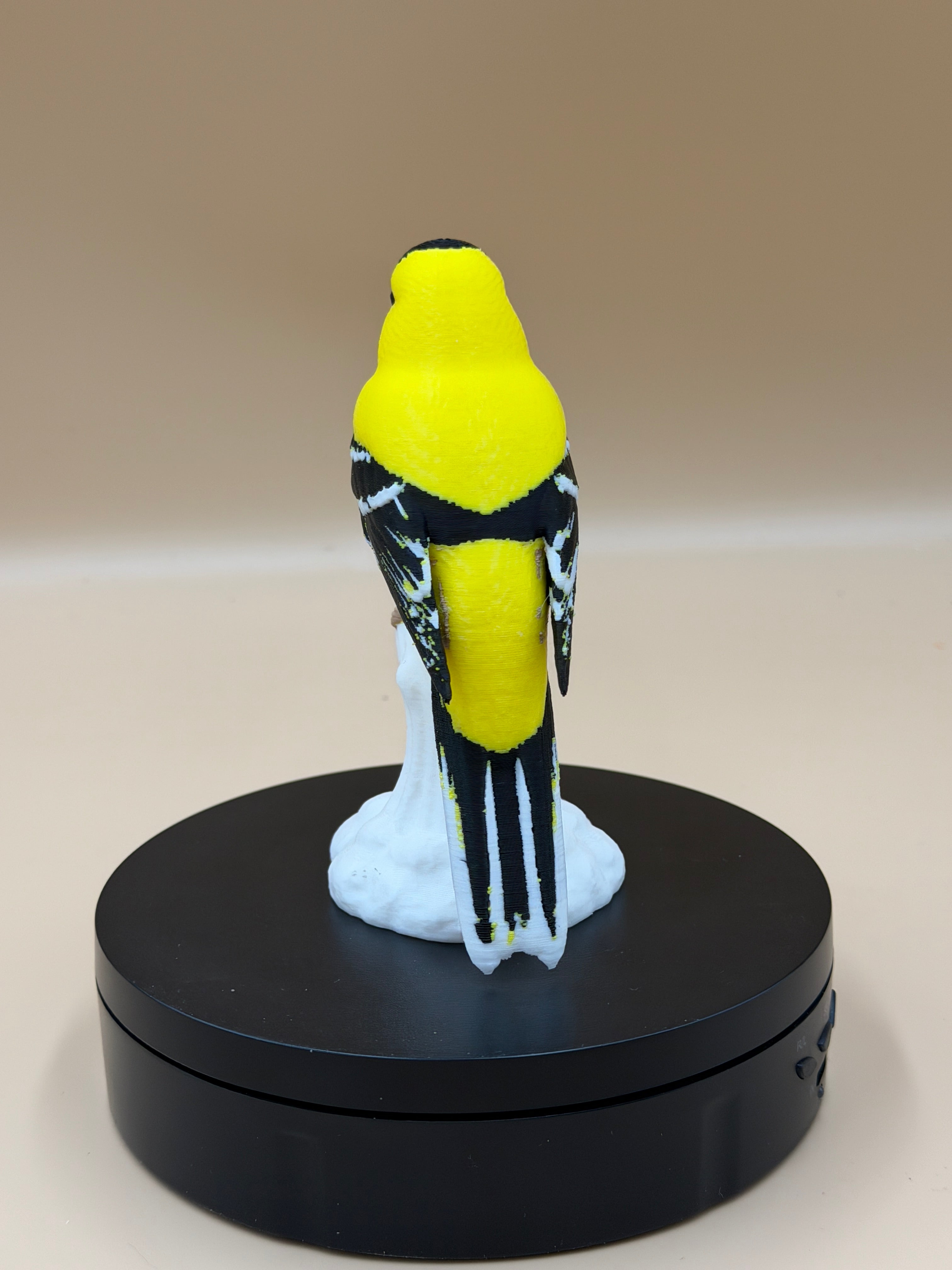 Sunshine Goldfinch