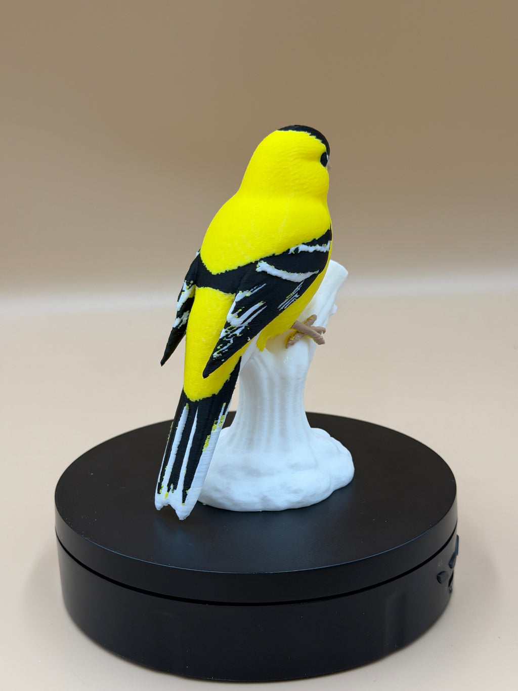 Sunshine Goldfinch - Commercial License