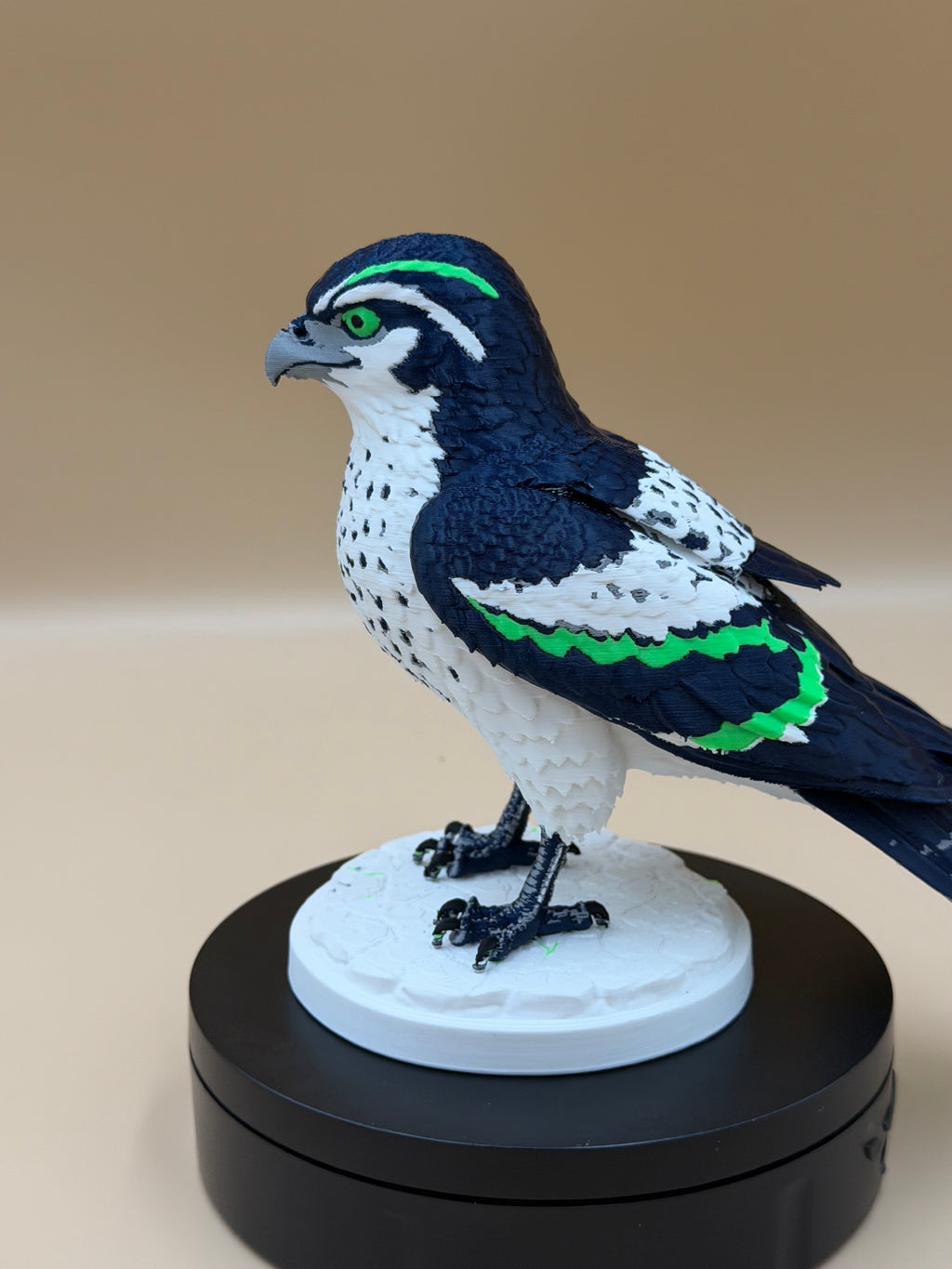 Magestic Sea Hawk