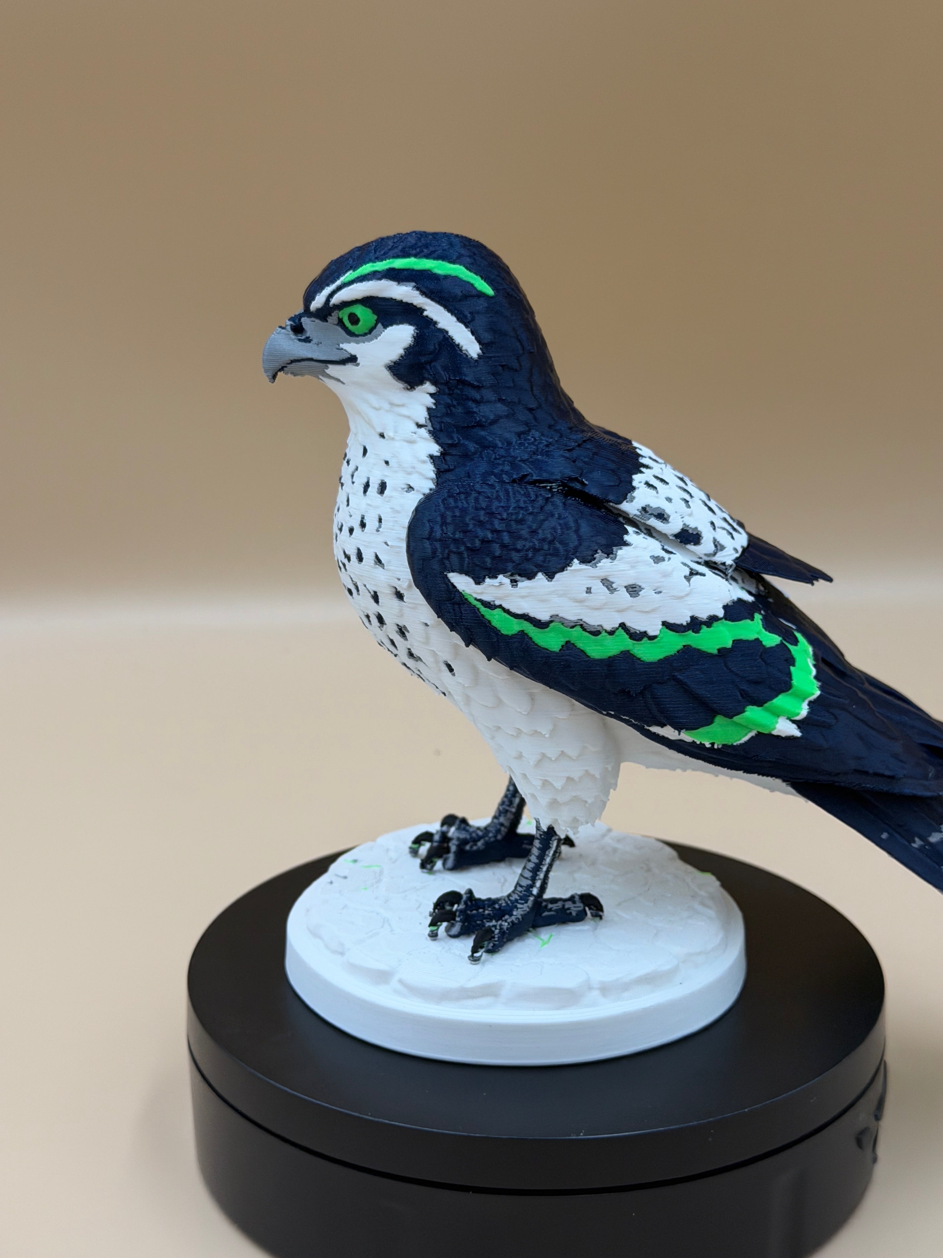 Magestic Sea Hawk