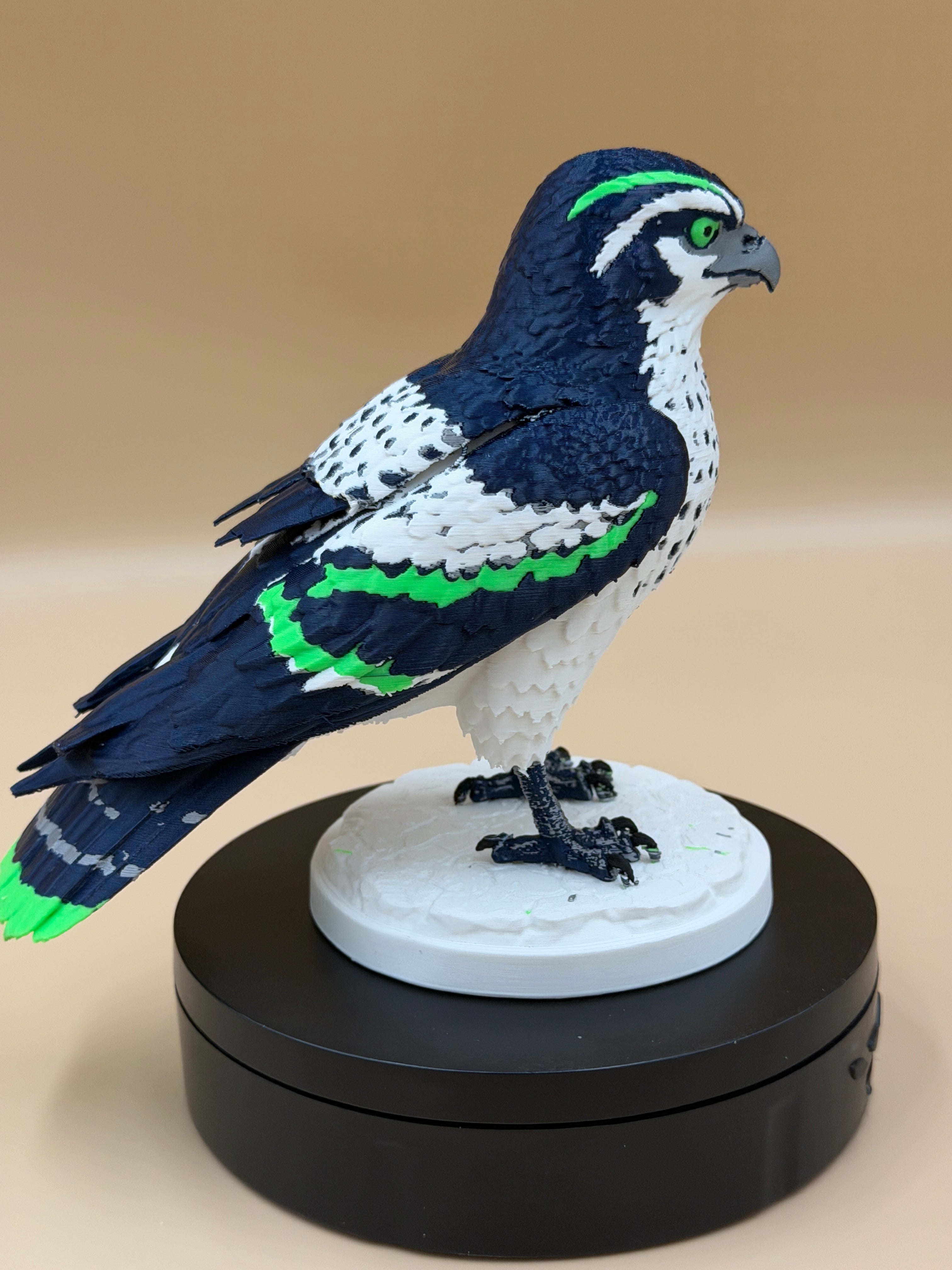 Magestic Sea Hawk
