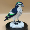 Majestic Sea Hawk - Commercial License