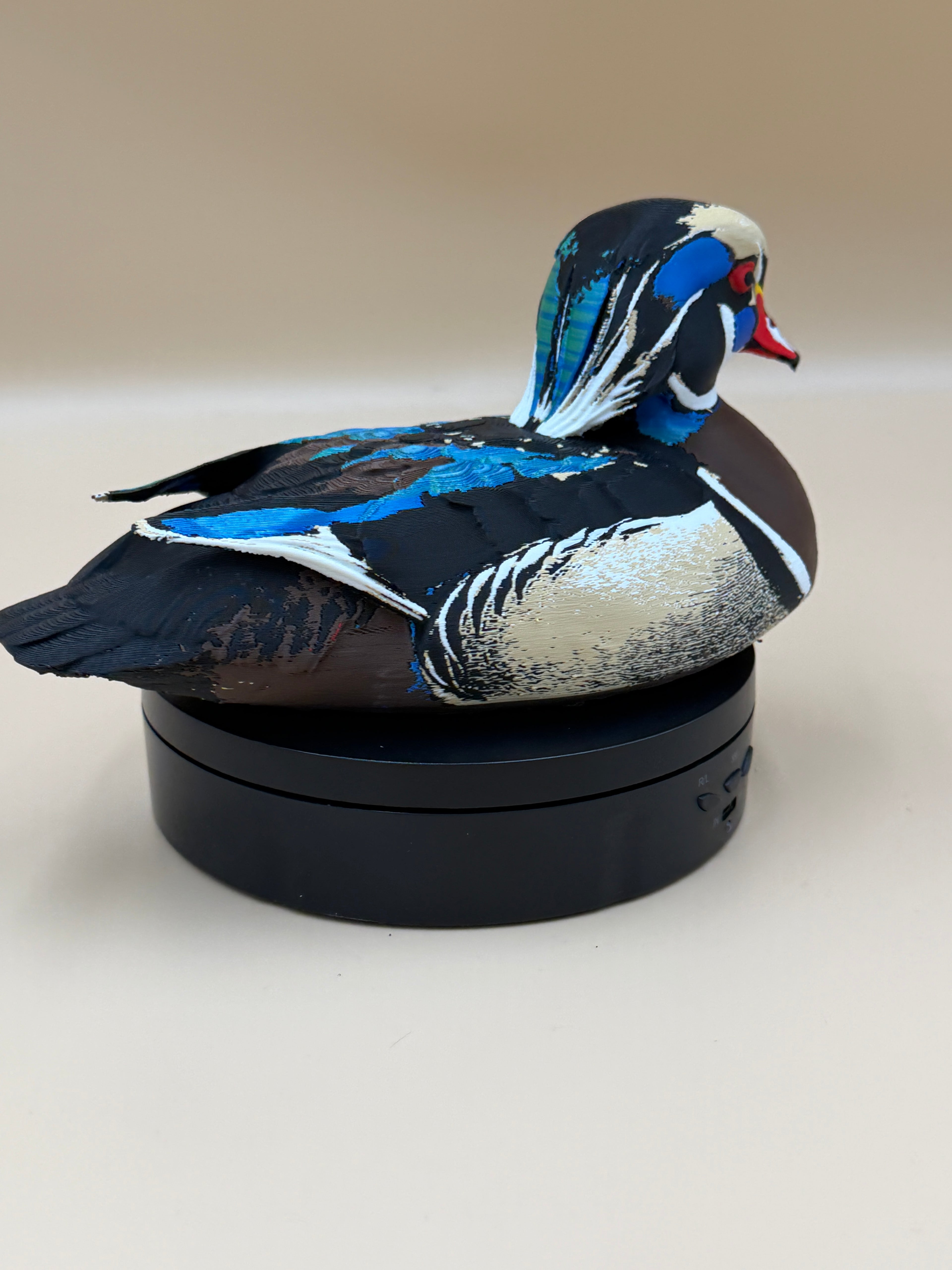 Royal Wood Duck - Commercial License