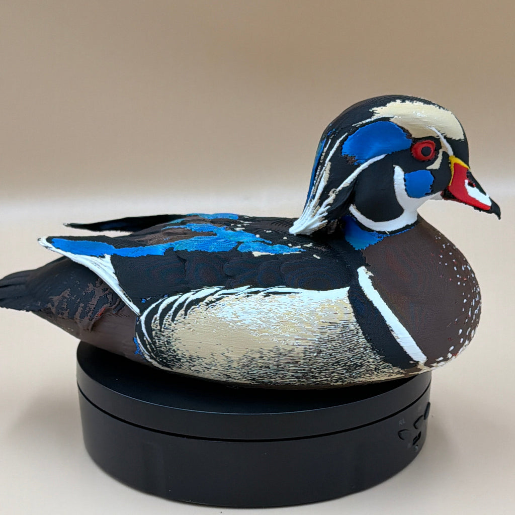 Royal Wood Duck - Commercial License