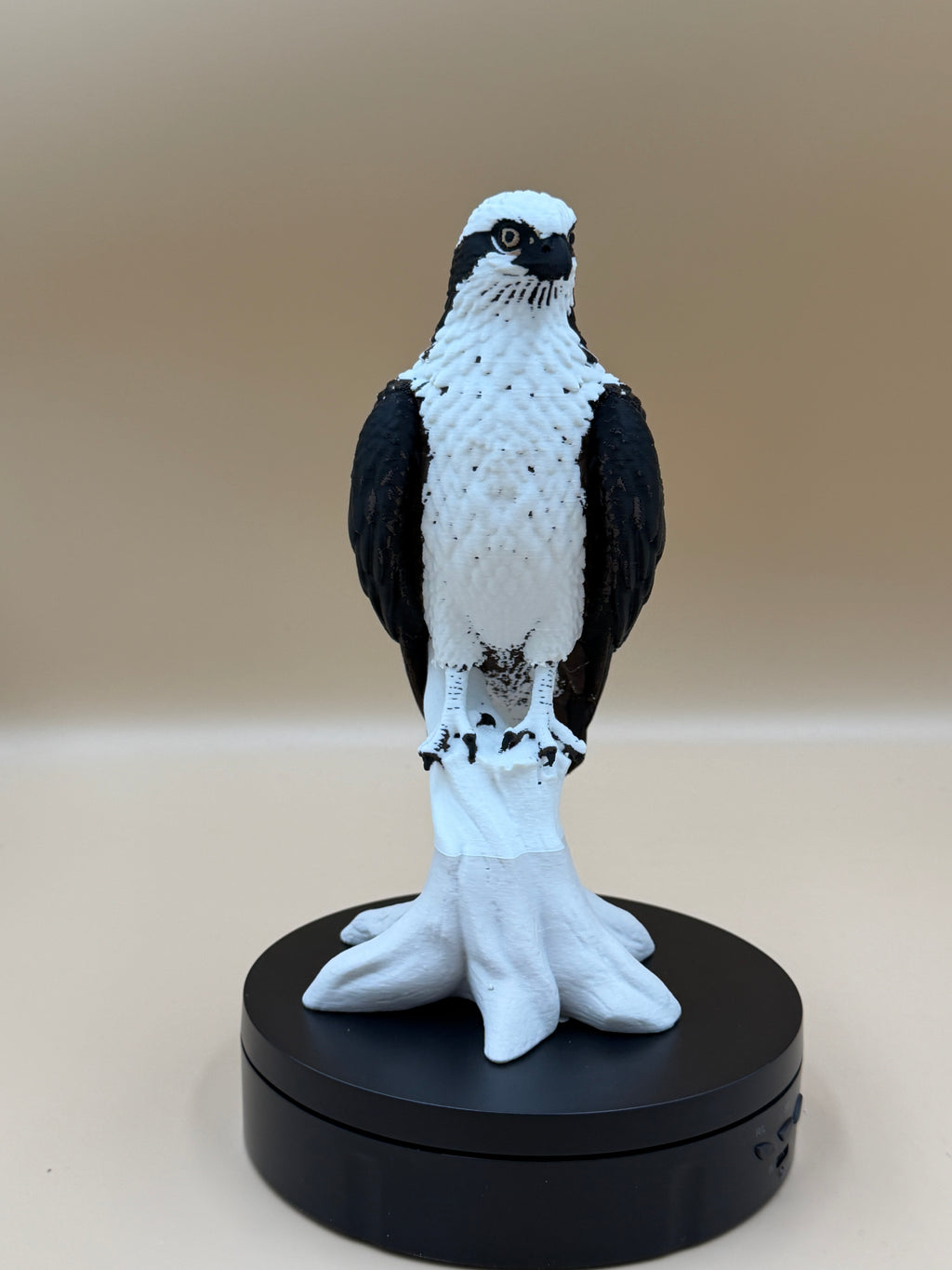 High Perch Osprey - Commercial License