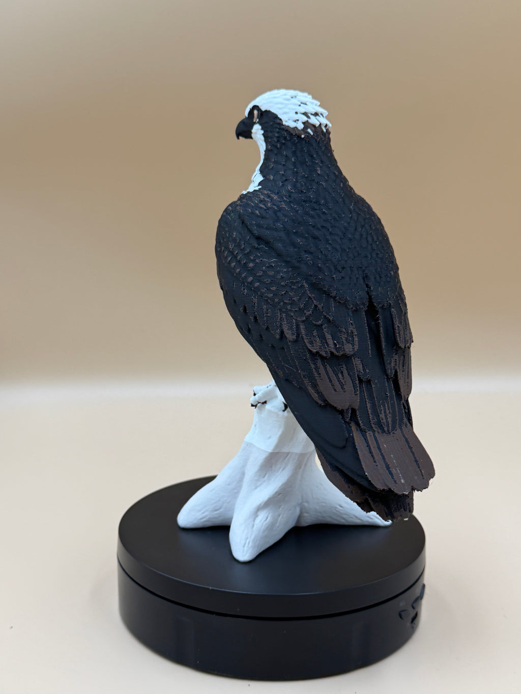 High Perch Osprey - Commercial License