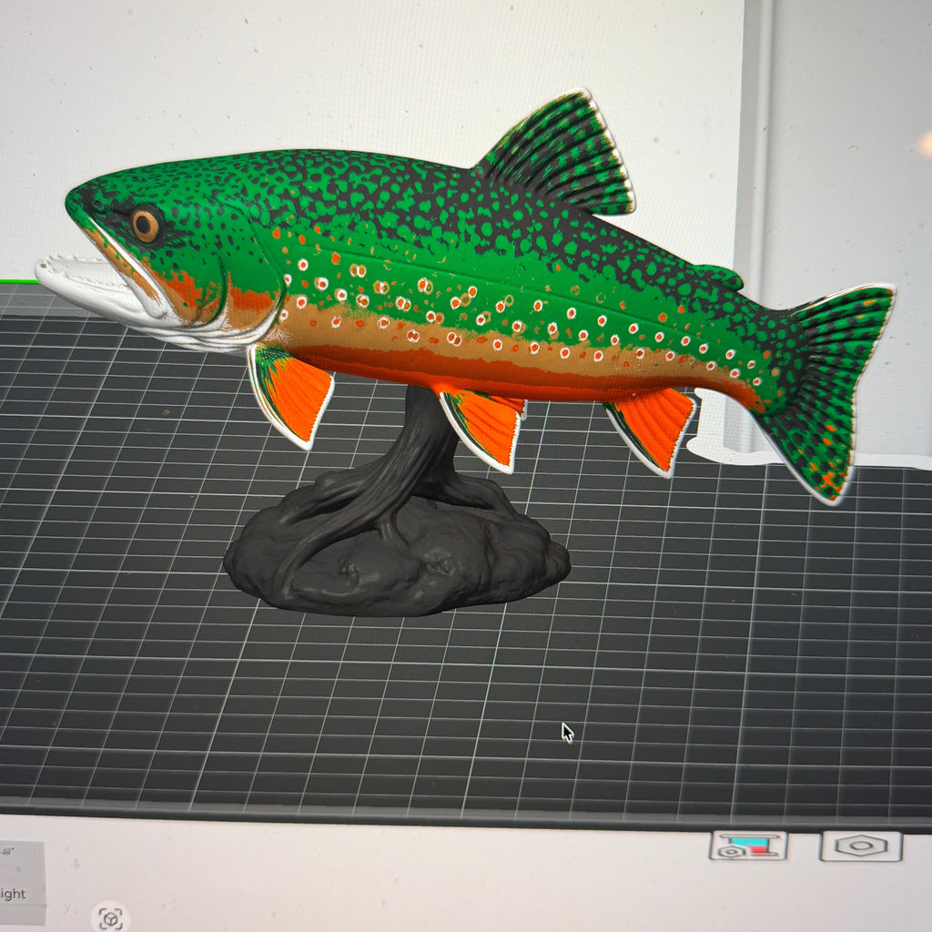 Rainbow Trout display Mount - Commercial License