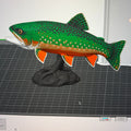Rainbow Trout display Mount - Commercial License