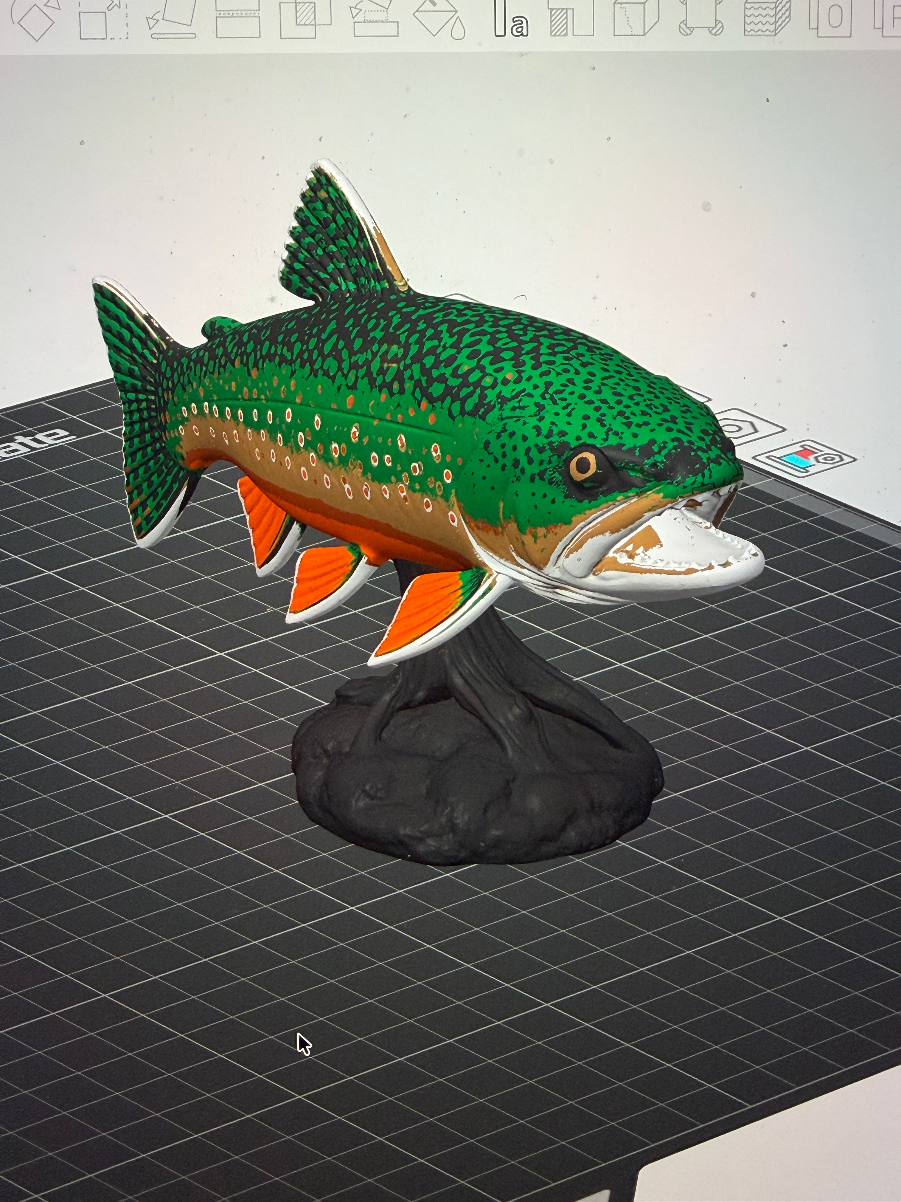 Rainbow Trout display Mount - Commercial License