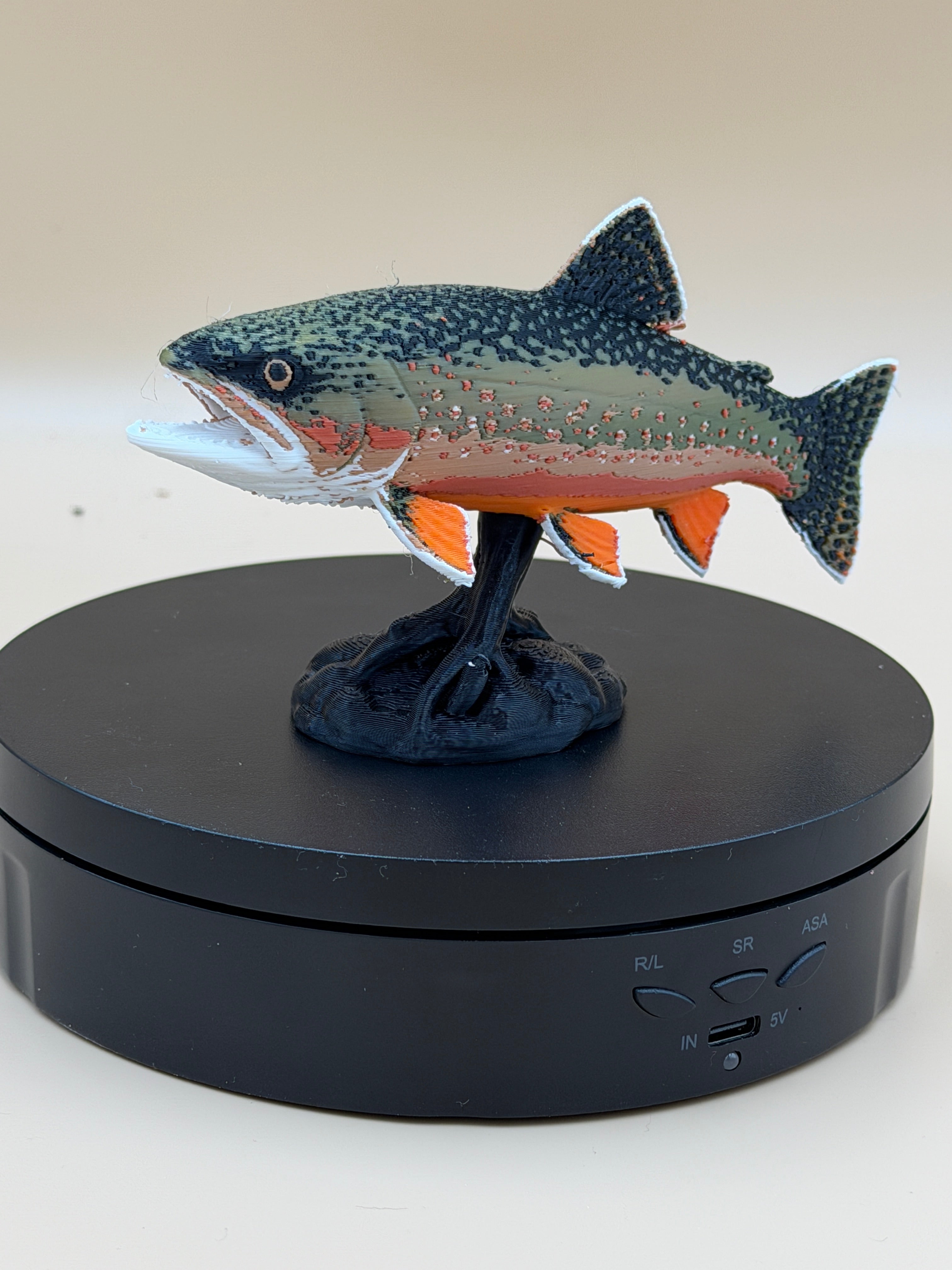 Rainbow Trout display Mount - Commercial License