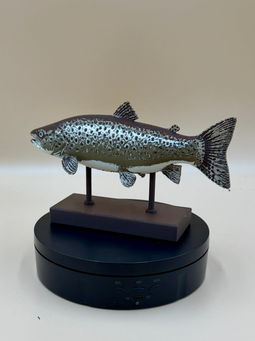 Golden Brown Trout - Commercial License