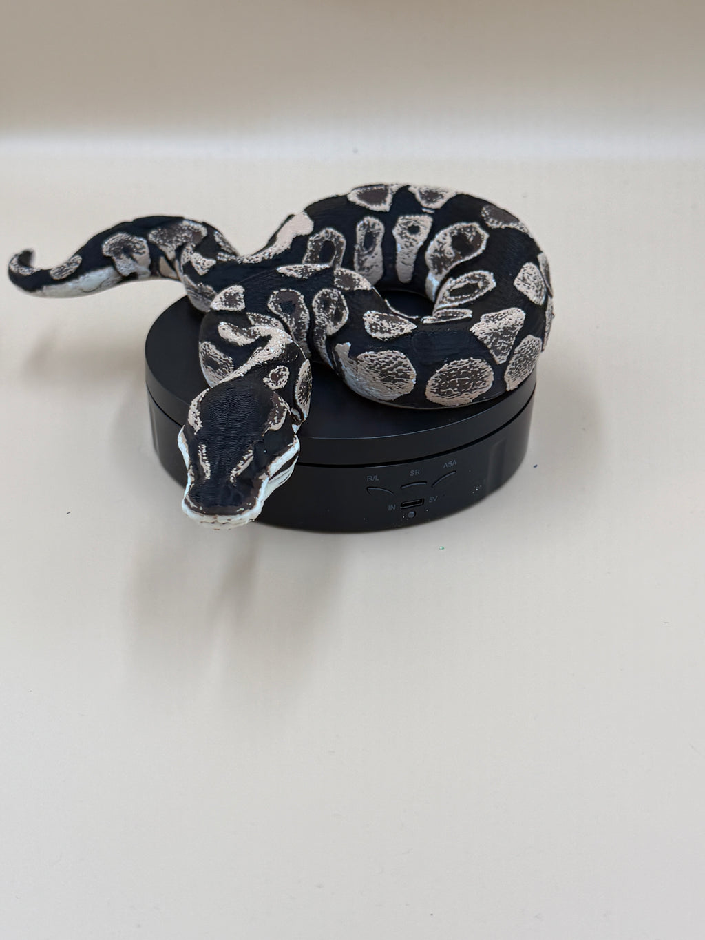 Ball Python - PLA Indoors only
