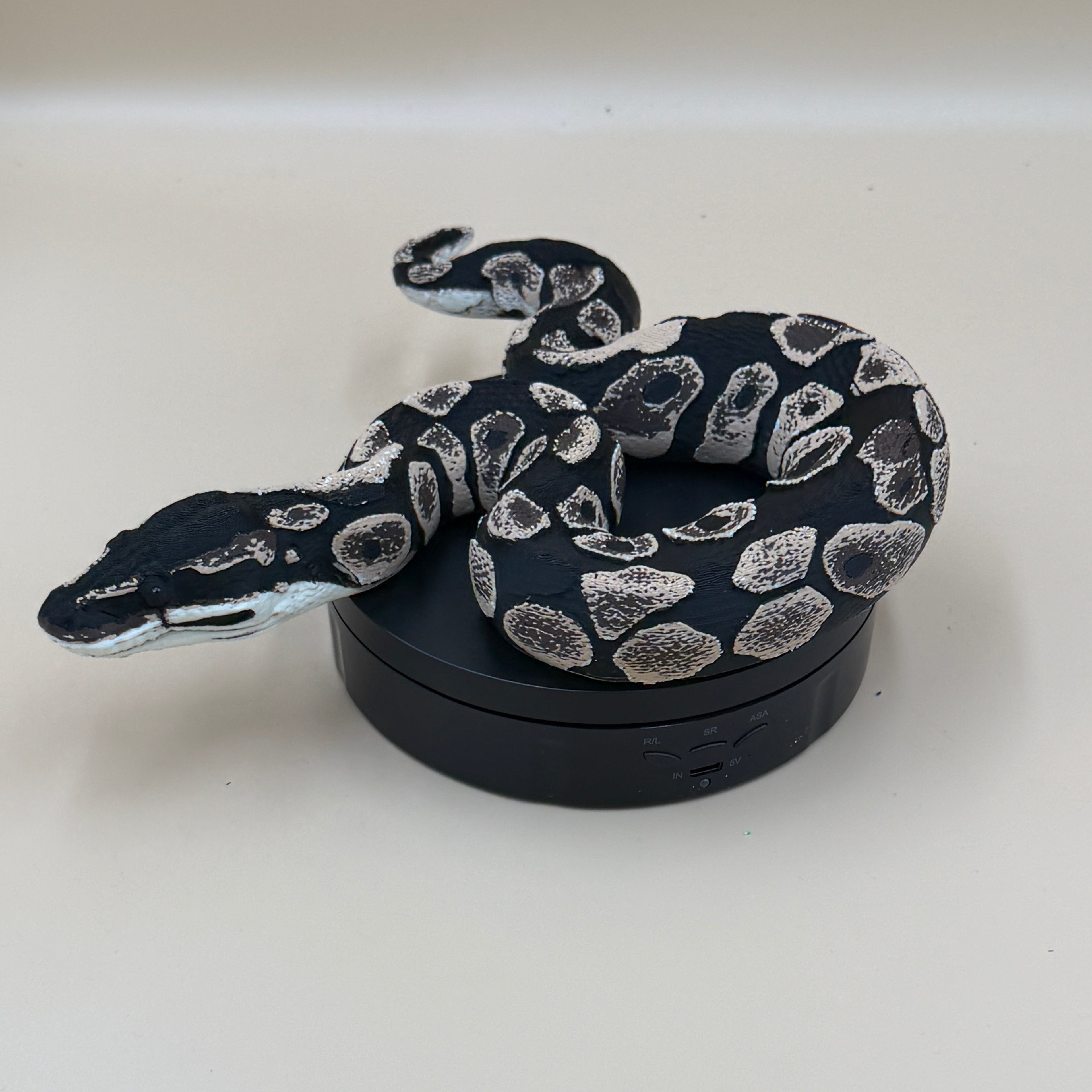 Ball Python - PLA Indoors only