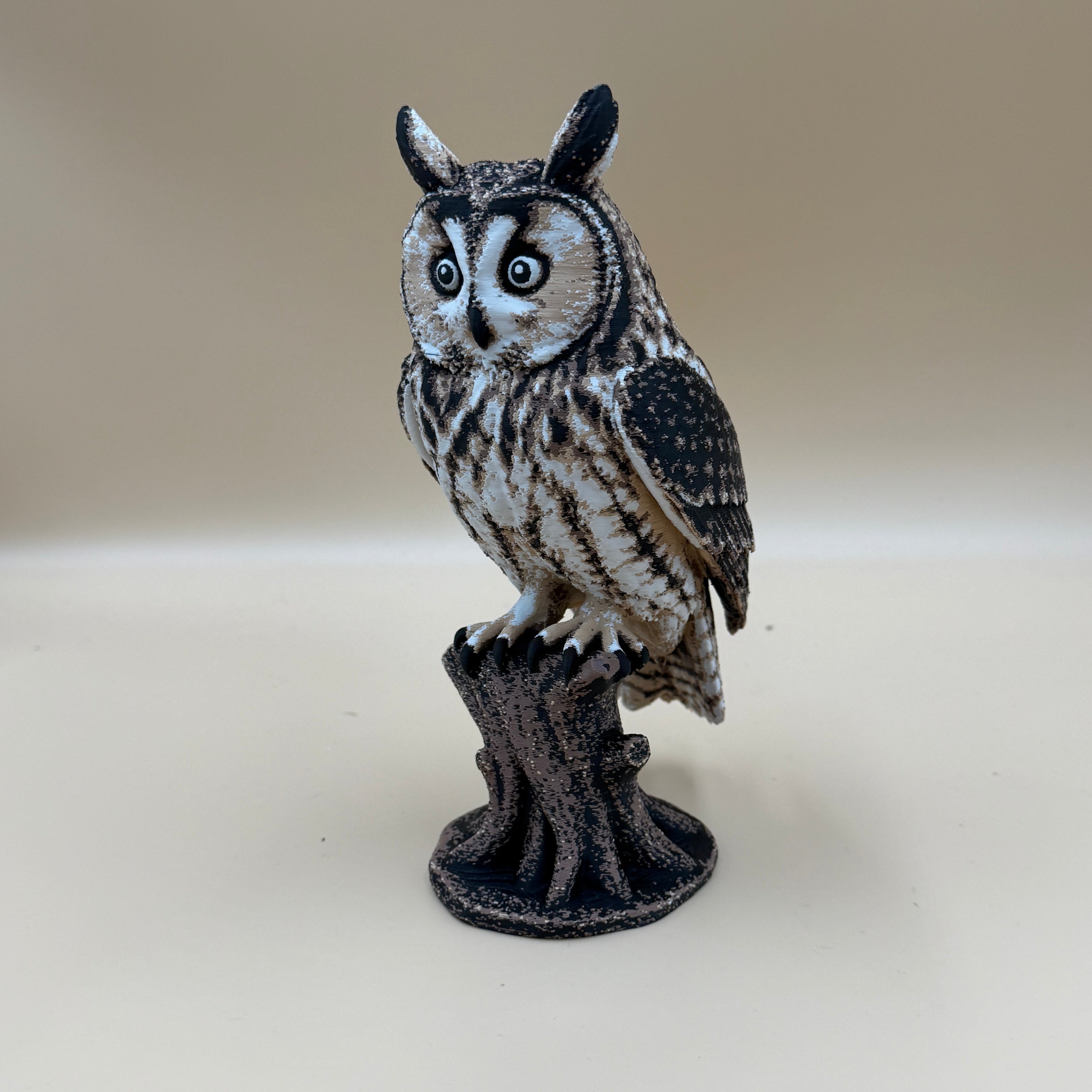 Long Eared Owl - Indoor Only