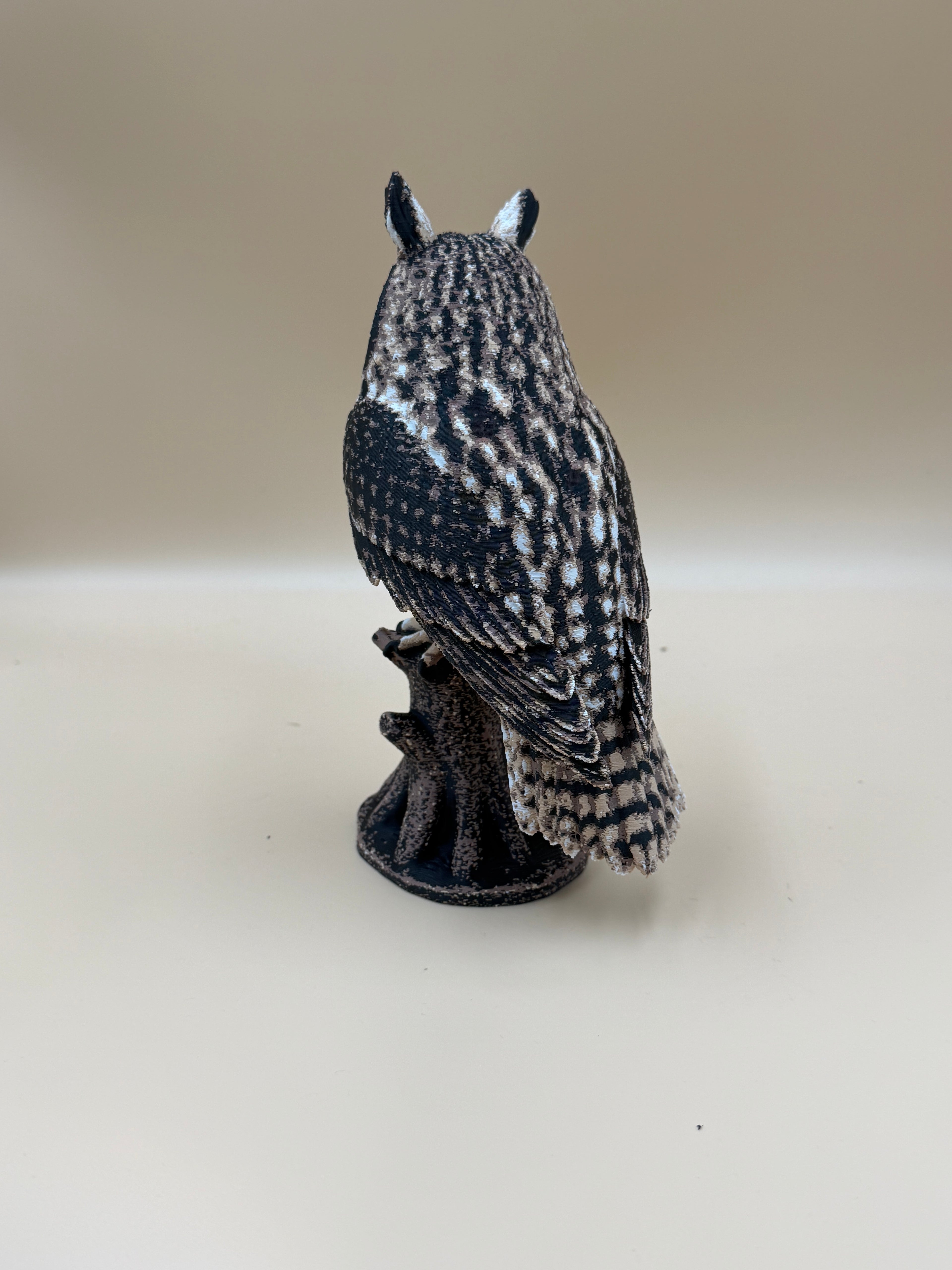 Long Eared Owl - Indoor Only