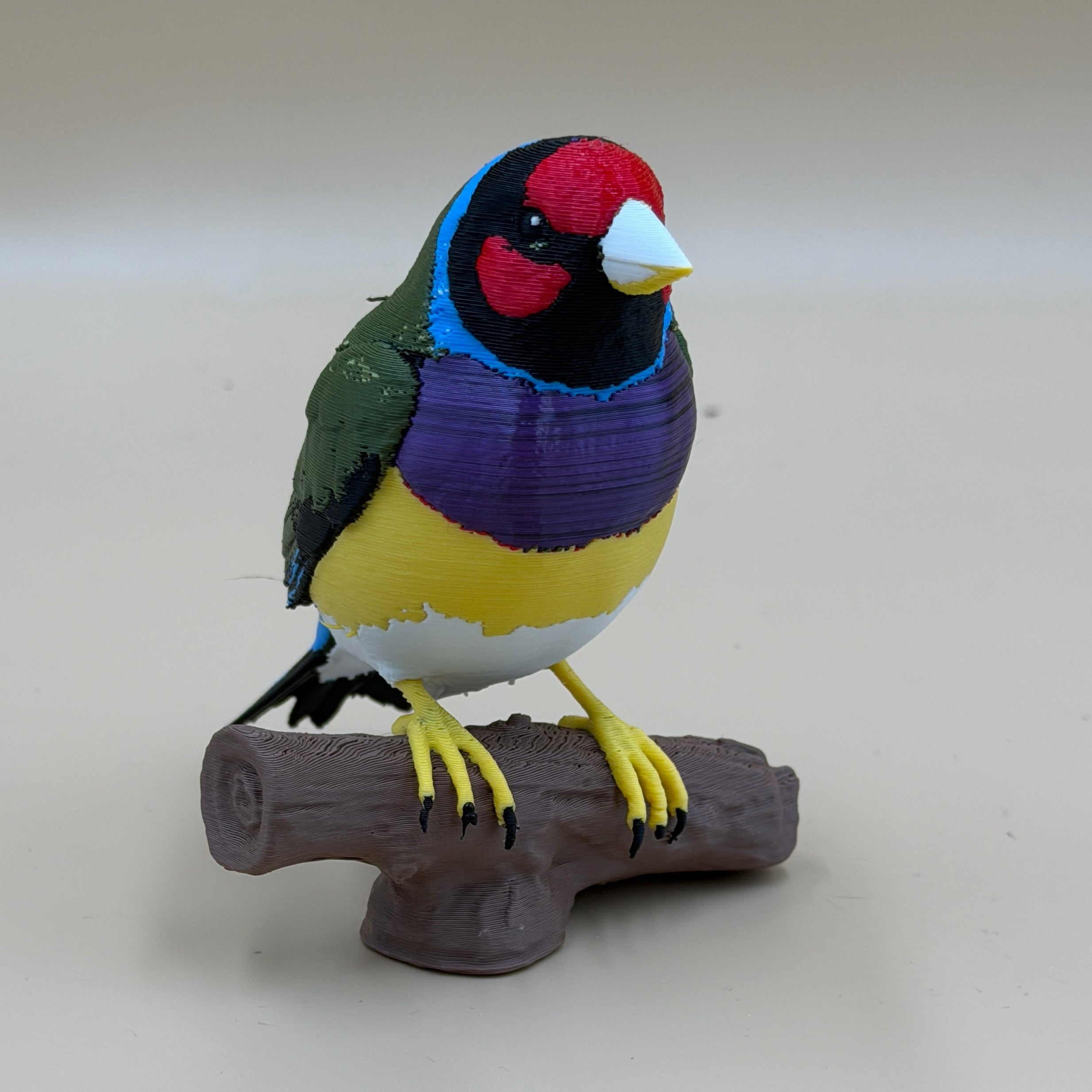 Gouldian Finch