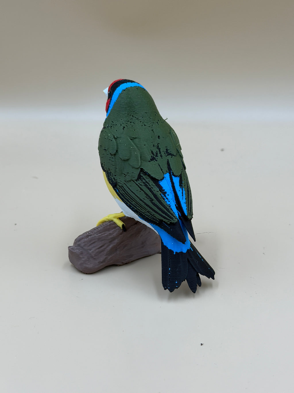 Gouldian Finch
