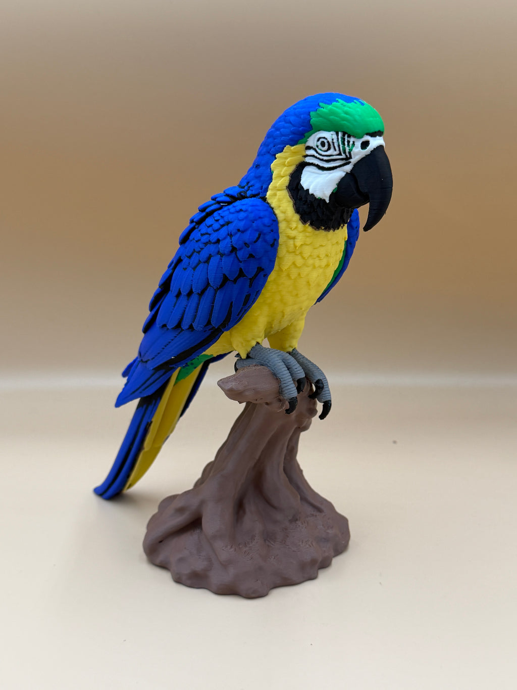 Macaw - Blue and Yellow