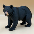 Black Bear