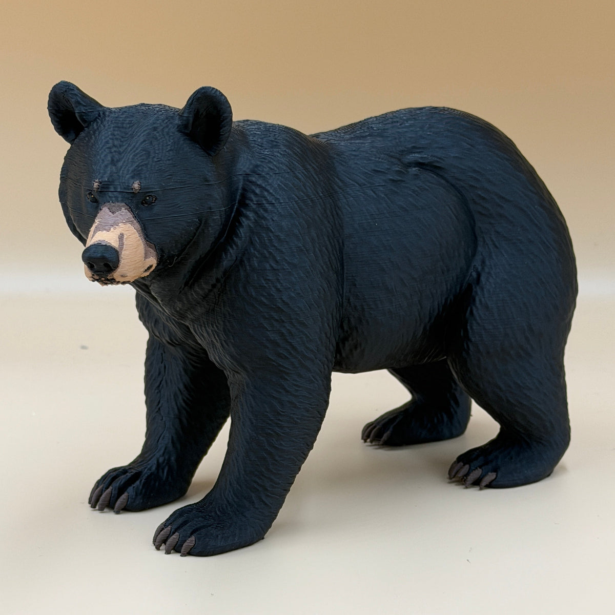 Black Bear