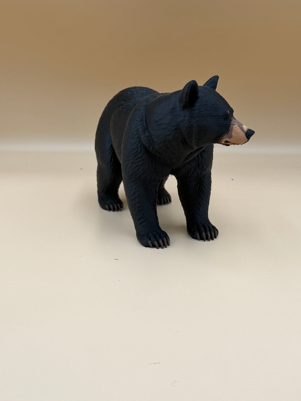 Black Bear