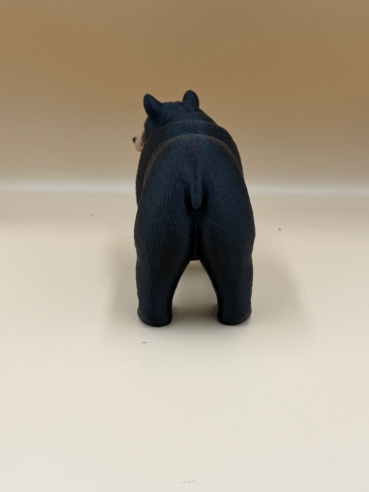 Black Bear