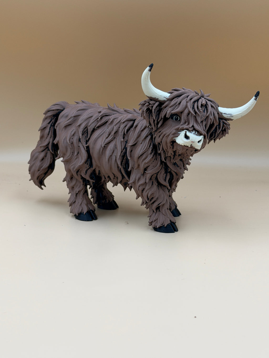 Highland Cow