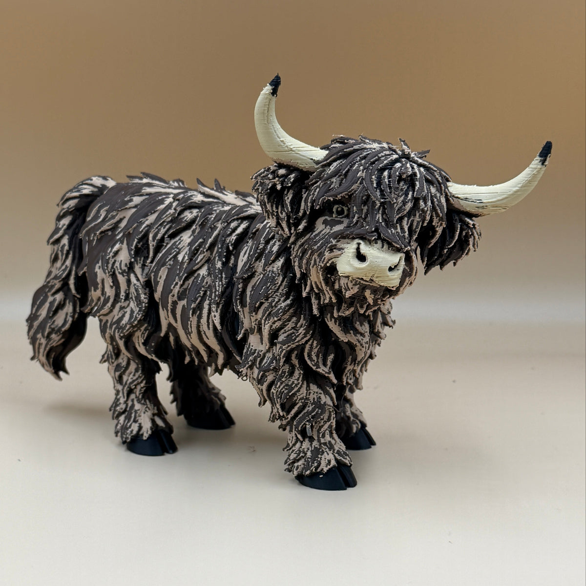 Highland Cow