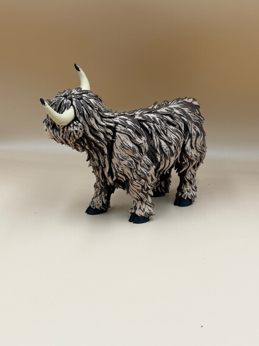 Highland Cow