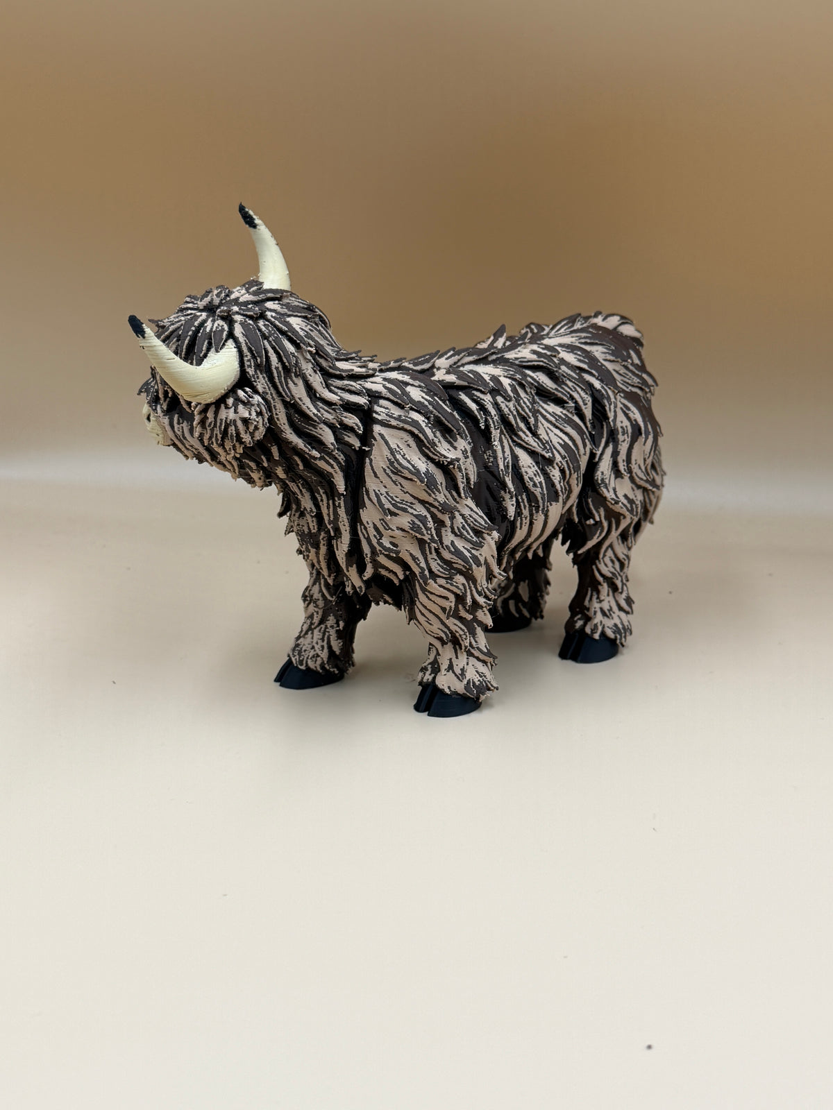 Highland Cow